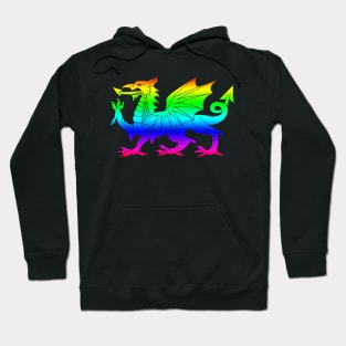 Wales Hoodie